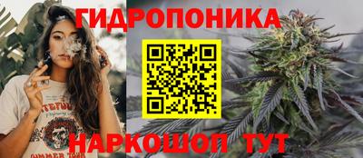 прущая мука Кингисепп