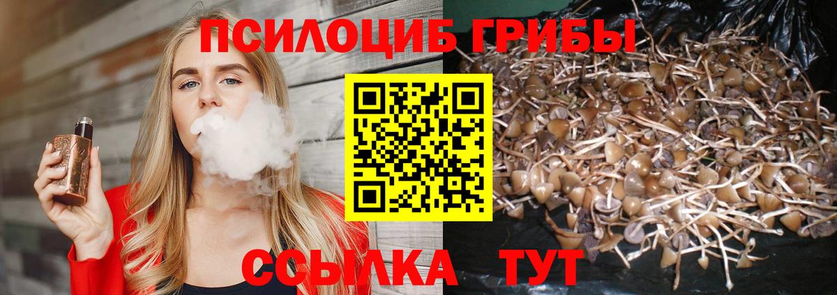 Псилоцибиновые грибы прущие грибы  Вход с VPN  Омск 